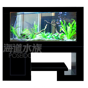 批發(fā)供應(yīng)玻璃魚(yú)缸、生態(tài)魚(yú)缸及新式簡(jiǎn)約花架柜式魚(yú)缸——保定海道水族科技
