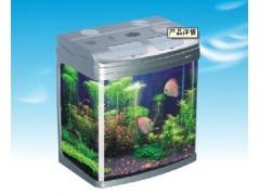 貴陽(yáng)魚(yú)缸批發(fā)一站式解決方案 打造專業(yè)水族生態(tài)