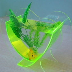 定制一方心水 亞克力心形魚(yú)缸的靈動(dòng)世界