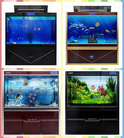 邯鄲水族箱批發(fā)市場全攻略 從入門到精通